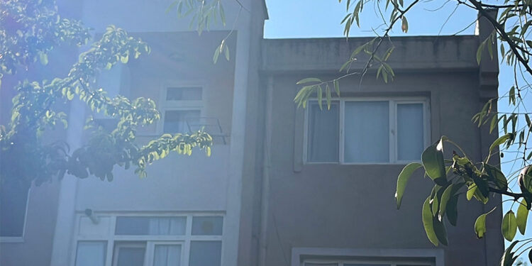 4 yaşındaki oğlunu uyurken yastıkla boğdu