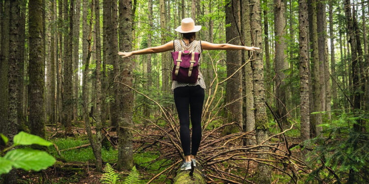 Kısa süreli doğa teması ruh sağlığına iyi geliyor