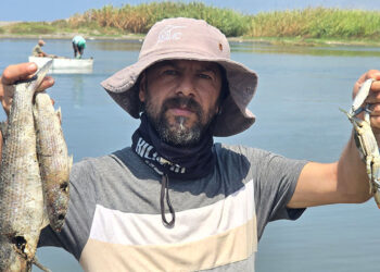 Asi Nehri istilacı su sümbülleri ile kaplandı