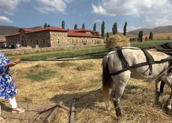 100 yıllık tarım aletleriyle hasat