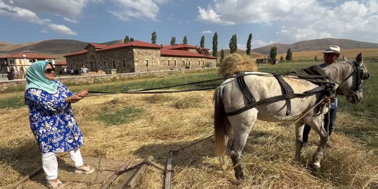 100 yıllık tarım aletleriyle hasat