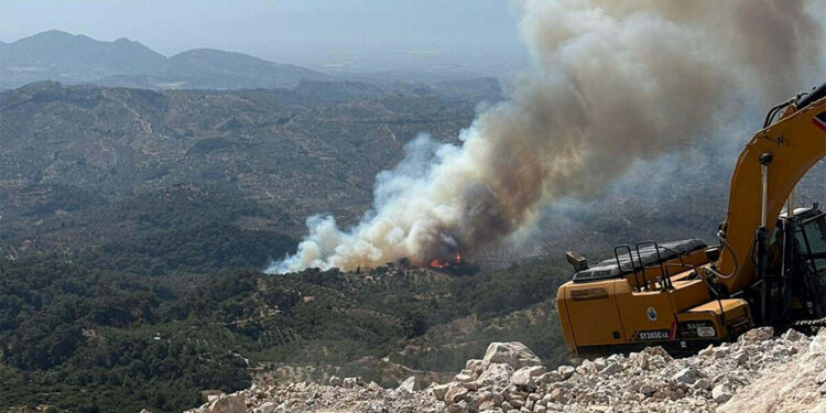 Aydın ve Mersin'de orman yangını