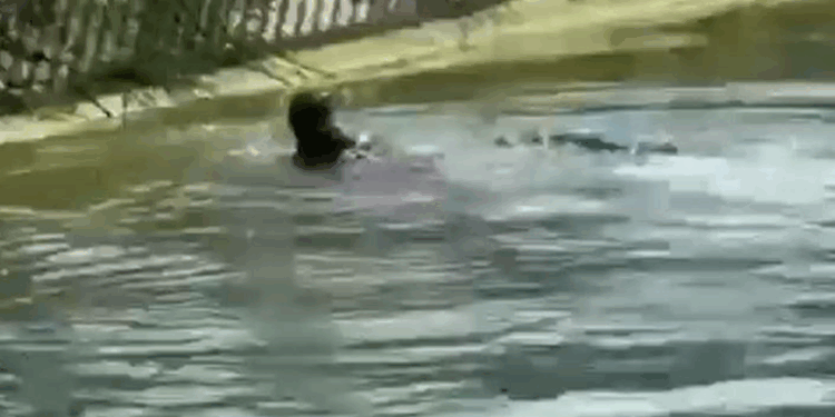 Adana'da sulama kanalında erkek cesedi bulundu