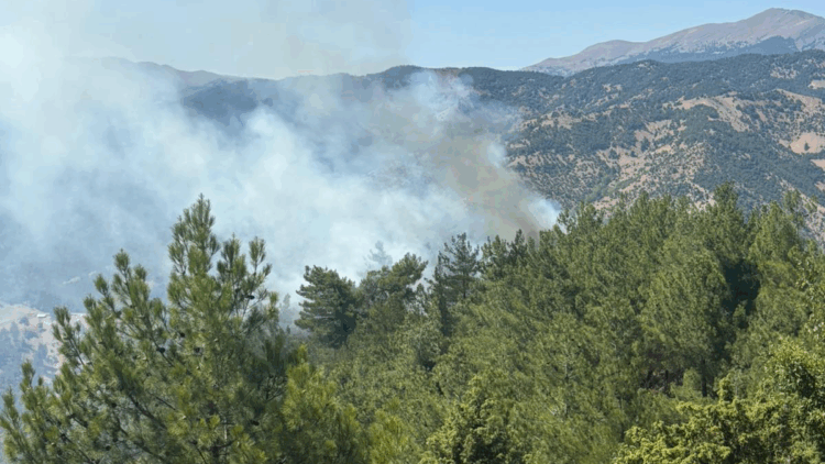 Adana'nın Feke ilçesinde orman yangını çıktı