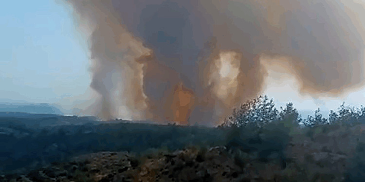 Adana'nın İkmamoğlu ilçesindeki orman yangını kontrol altında