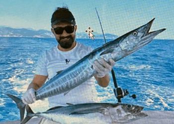 Akdeniz tropikalleşiyor; Kızıldeniz kökenli balık sayısı 72'ye ulaştı