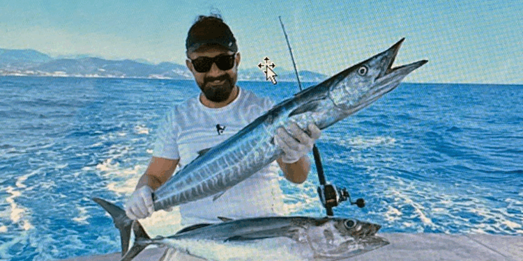 Akdeniz tropikalleşiyor; Kızıldeniz kökenli balık sayısı 72'ye ulaştı