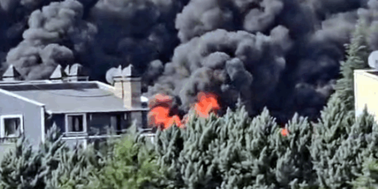 Ankara'nın Gölbaşı ilçesinde villaların bulunduğu alanda yangın