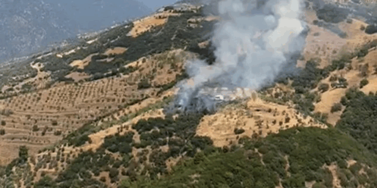 Aydın'da zeytinlik yangını