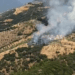 Aydın'da zeytinlik yangını