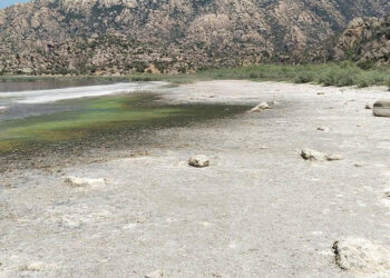Bafa Gölü ve çevresinde kirlilik alarmı