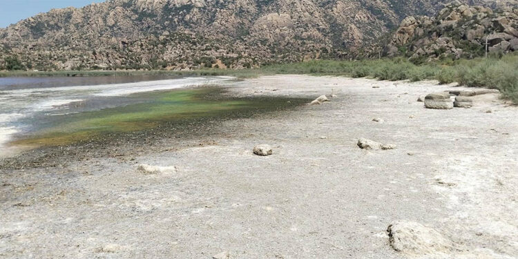 Bafa Gölü ve çevresinde kirlilik alarmı