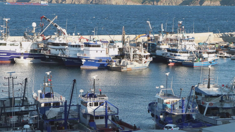 Balıkçılar 1 Eylül'deki yeni av sezonundan umutlu