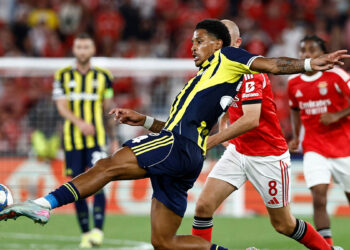 Fenerbahçe yoluna UEFA Avrupa Ligi'nde devam edecek