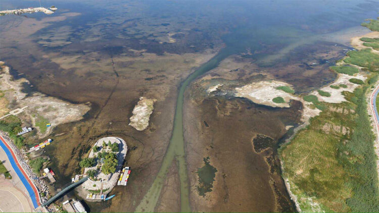 Beyşehir Gölü'nün ölmesine seyirci kalmayız