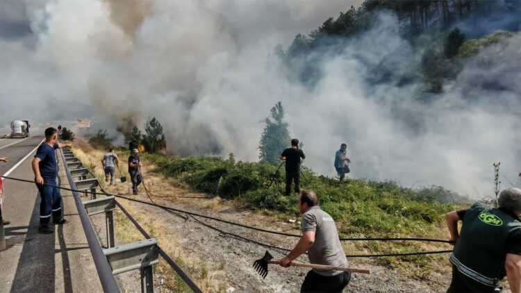 Mengen'den alevler yükseliyor