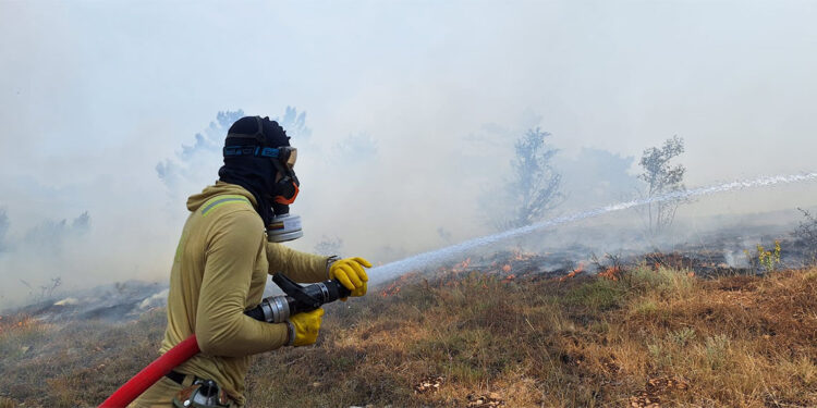 Bolu'nun Göynük ilçesi Tekirler köyü yakınlarında orman yangını