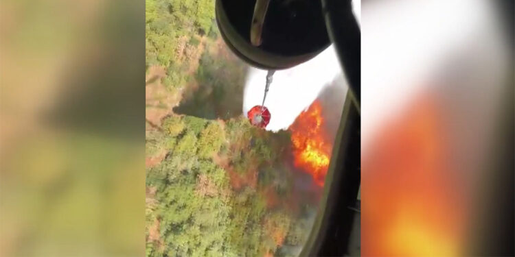 Bursa'nın İznik ilçesinde maki yangını