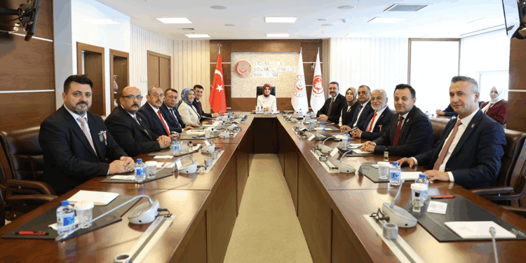 Bakan Göktaş, Gaziler, Şehit Dul ve Yetimleri Derneği üyelerini kabul etti