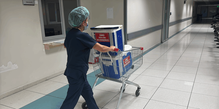 Beyin ölümü gerçekleşen genç kızın organları 3 kişiye umut oldu