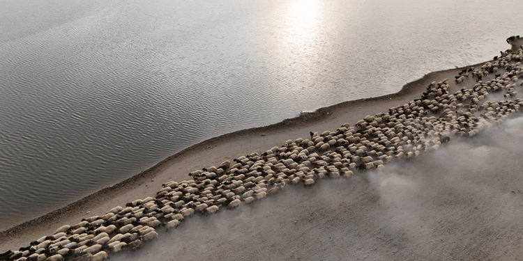 Bitlis'te göçerlerin zorlu yayla hayatı