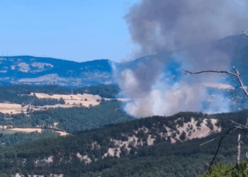 Bolu Mudurnu'da orman yangını; Müdahale sürüyor