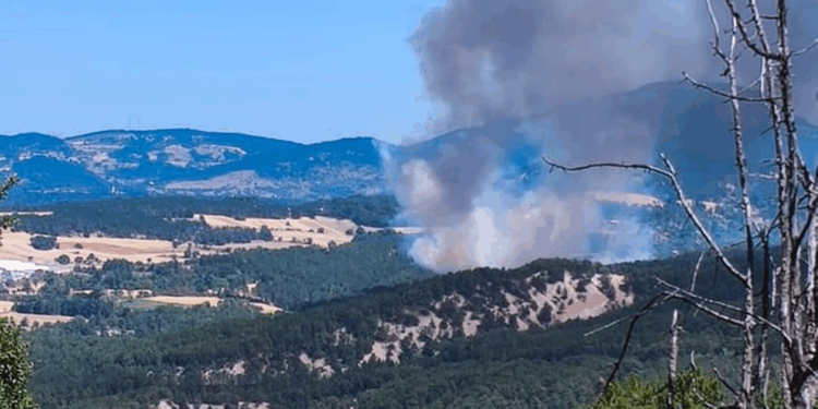 Bolu Mudurnu'da orman yangını; Müdahale sürüyor