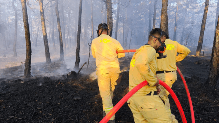 Bolu'da küle dönen ormanda soğutma çalışmaları sürüyor