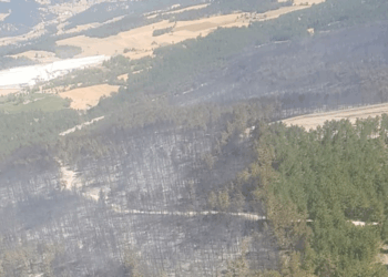 Bolu'da orman yangını kontrol altında; 2 gözaltı