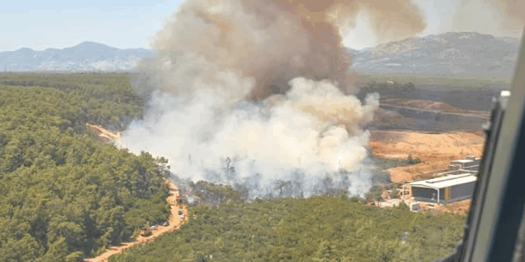 Bu kez de Antalya'nın ormanları yanıyor