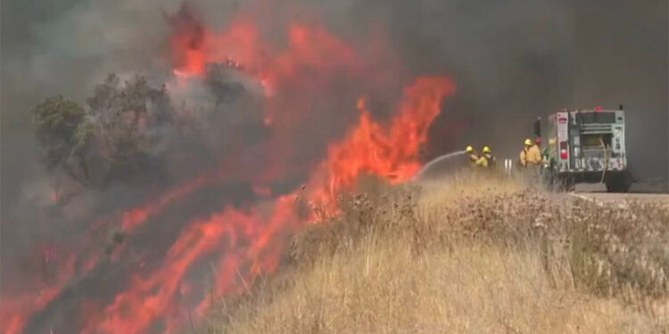 Orman yangınında 12 bin hektardan fazla alan yandı