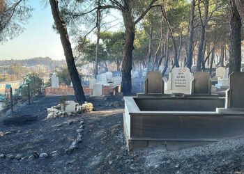 Güzelyalı köyü mezarlığı yangında zarar gördü