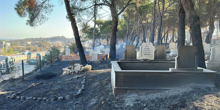 Güzelyalı köyü mezarlığı yangında zarar gördü
