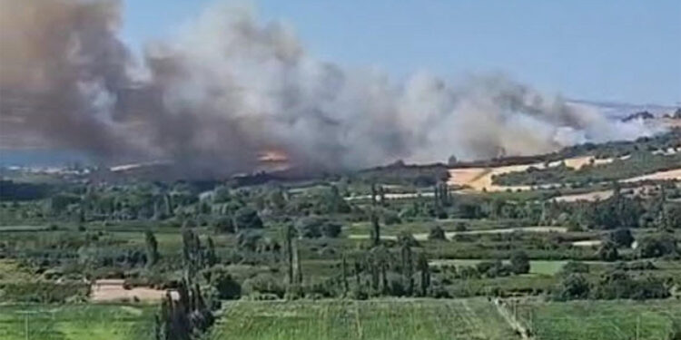 Çanakkale'nin Lapseki ilçesi yanıyor