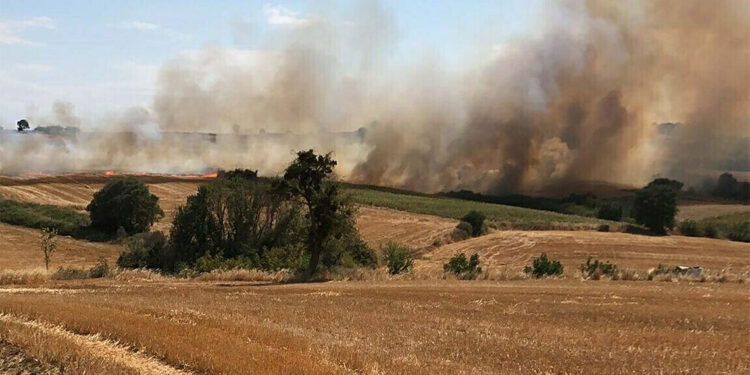 Biga'da tarım arazisinde yangın; Alevler geniş alana yayıldı