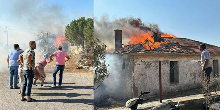 Çanakkale'deki yangının çıkış nedeni belli oldu
