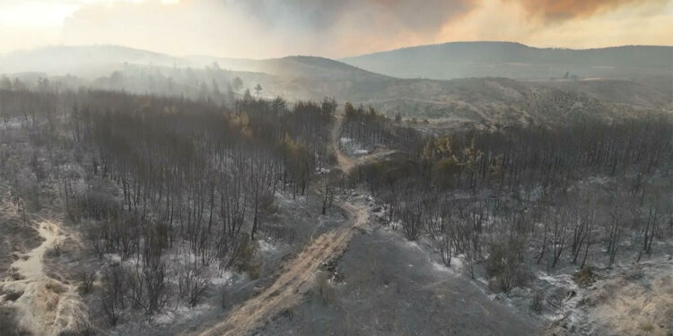 Çanakkale sabaha kadar yandı; 251 kişi tahliye edildi