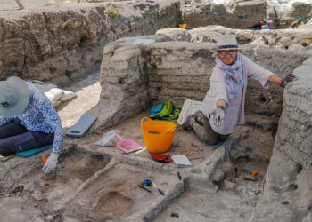 Çatalhöyük'e göçün nedenleri ortaya çıkarılıyor