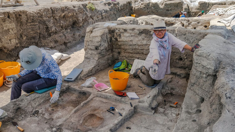 Çatalhöyük'e göçün nedenleri ortaya çıkarılıyor