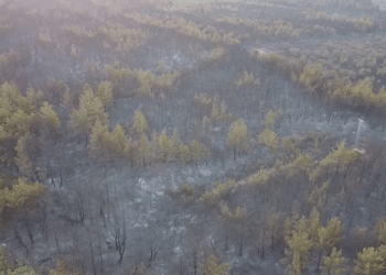 Çanakkale saatlerdir yanıyor: 4 kişi gözaltında