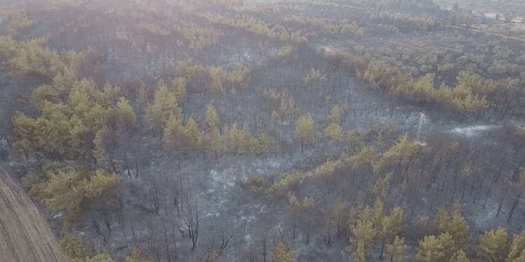 Çanakkale saatlerdir yanıyor: 4 kişi gözaltında