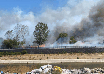 Çanakkale'de Ayvacık'ta da orman yangını çıktı