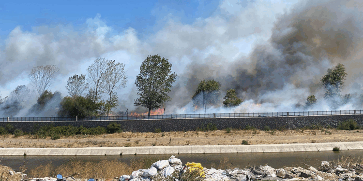 Çanakkale'de Ayvacık'ta da orman yangını çıktı