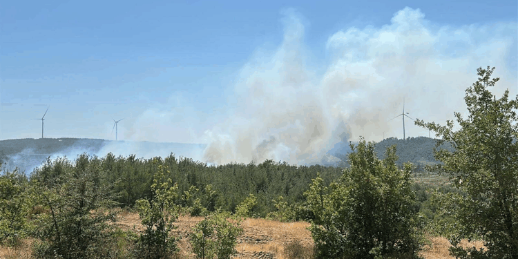 Çanakkale'de yine orman yangını: Kazdağları tehdit altında!