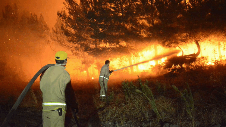 Çanakkale'deki 4 yangında 5 bin 236 hektar orman alanı zarar gördü