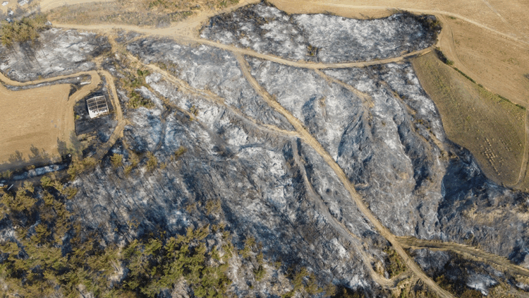 Çanakkale'deki yangın kontrol altında; yanan alanlar görüntülendi
