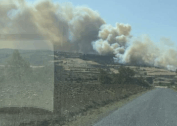 Çanakkale'nin Gelibolu ilçesinde orman yangını