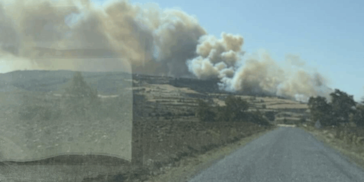 Çanakkale'nin Gelibolu ilçesinde orman yangını