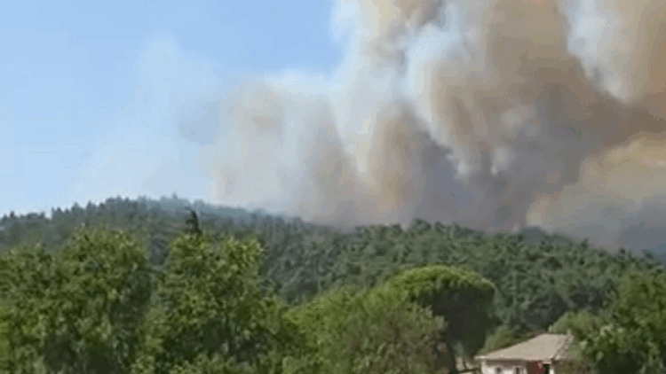 Çanakkale'nin Gelibolu ilçesinde yangın!