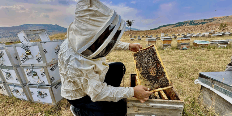 Coğrafi işaretli Munzur balına Londra’da altın madalya